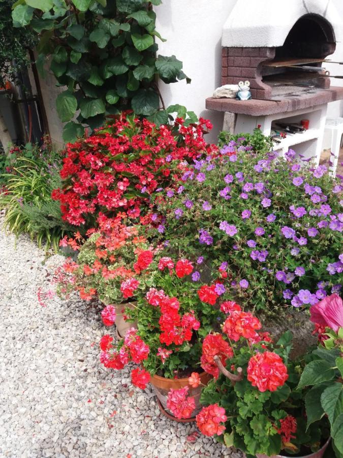 Forestier Marennes  Exterior photo